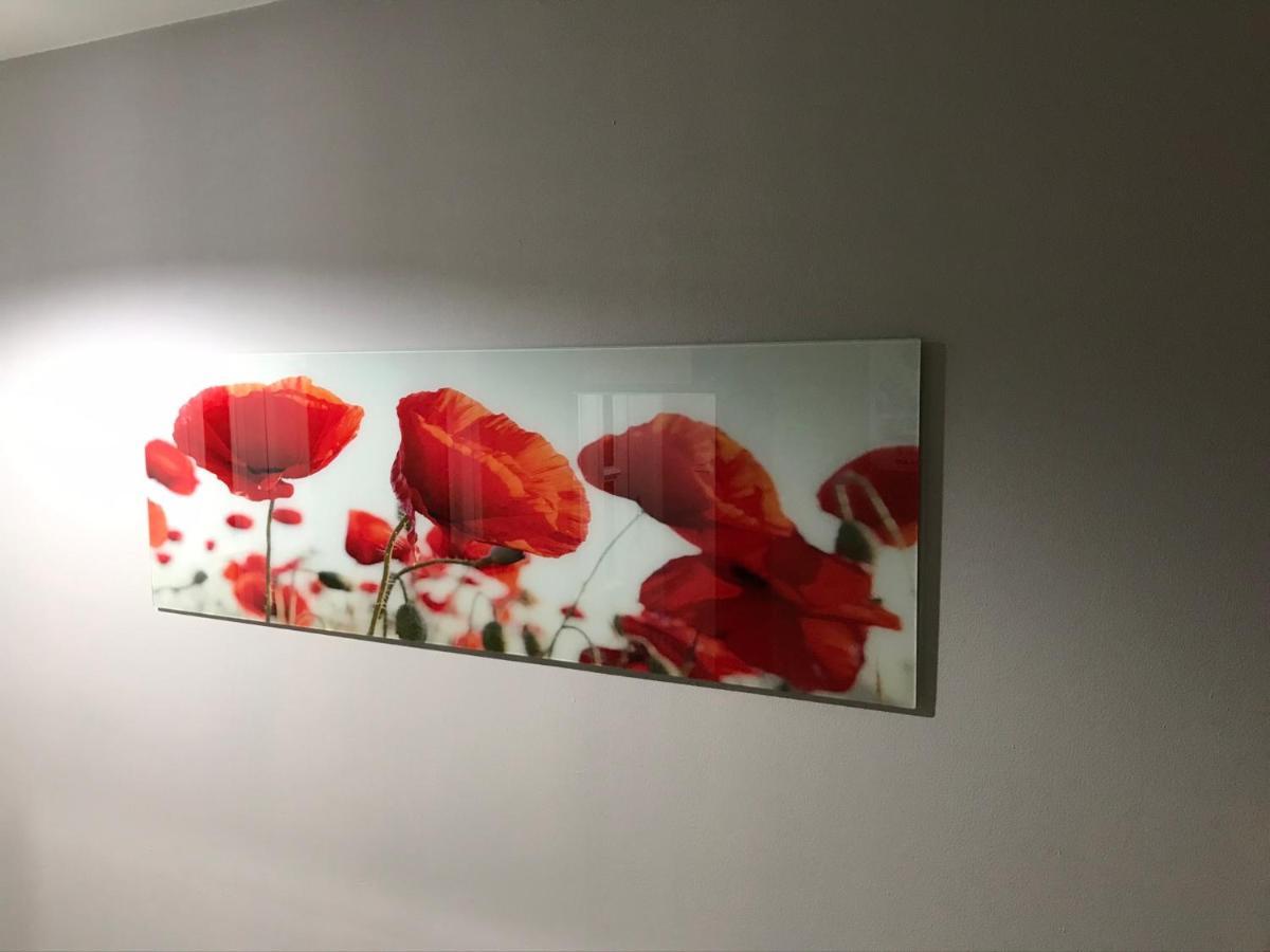 Ferienwohnung Flanders Fields Dingwall Exterior foto